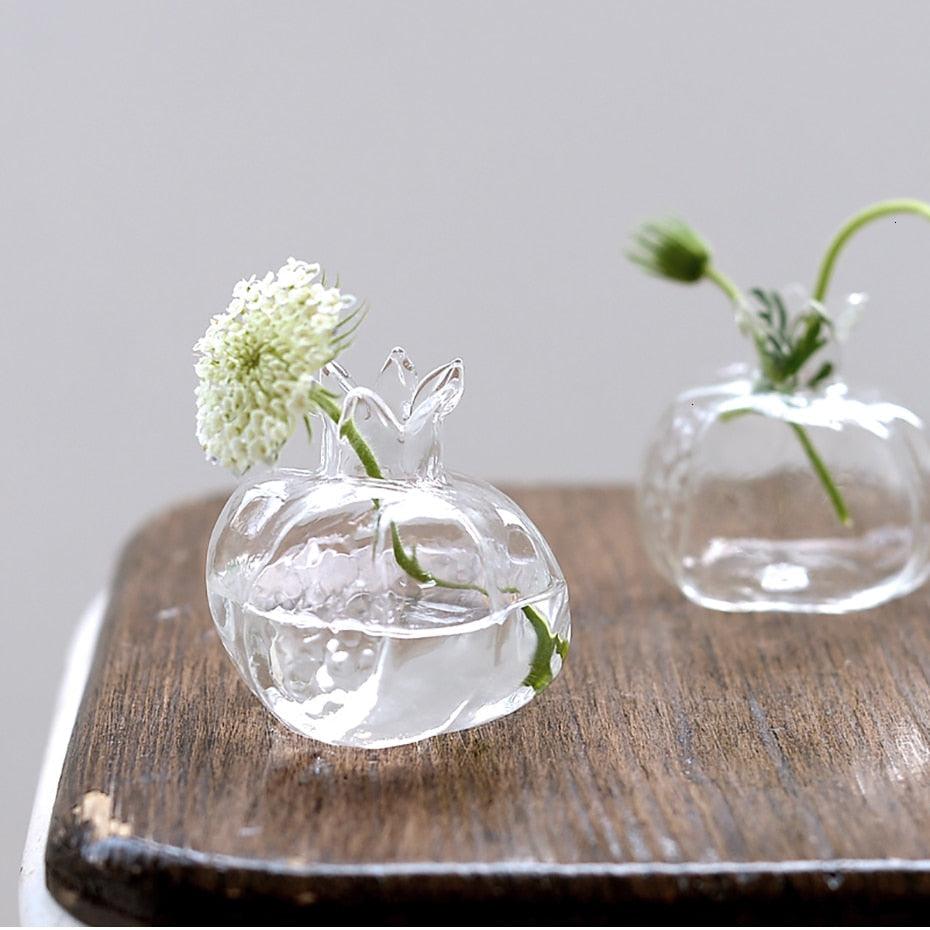 مزهرية زجاجية للتكاثر المائي بالرمان